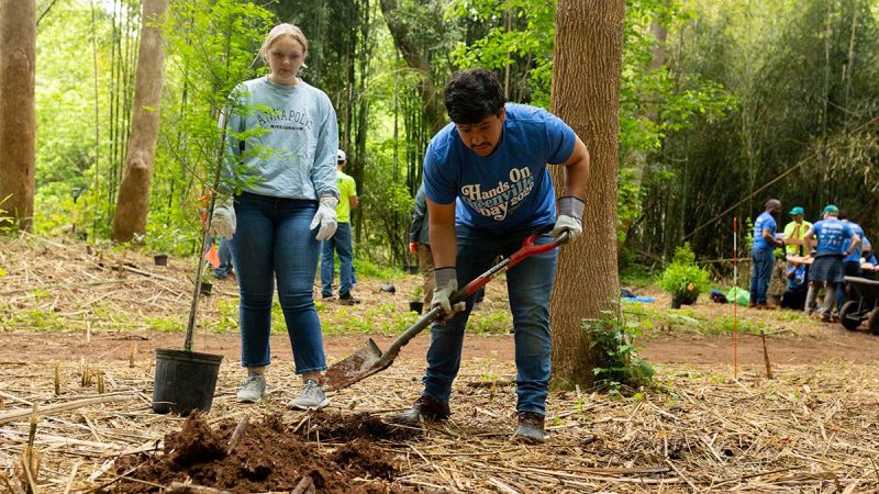 2026 Hands on Greenville Day - United Way photo